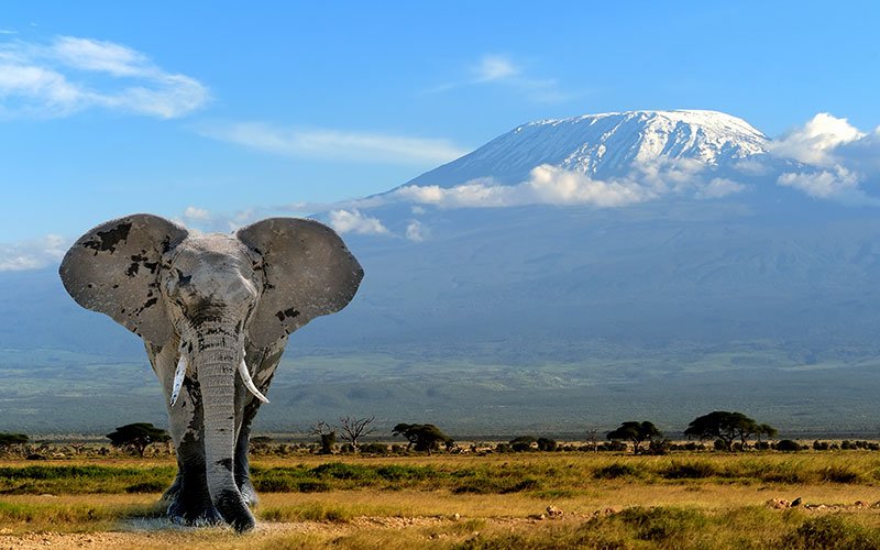 Tanzania