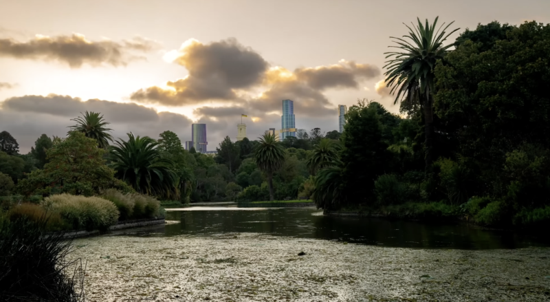 Melbourne Free Tour: History, Art and Culture.